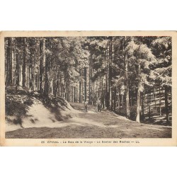 88 EPINAL. Le Bois de la Vierge avec cycliste sur Sentier des Roches 1933