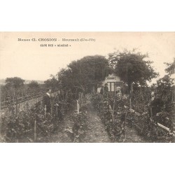 21 MEURSAULT. Maison Chonion Le Chalet au Clos des Acacias dans la Vigne