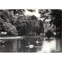 Photo Cpsm grand format 26 VALENCE. Le Parc Jouvet avec Cygnes