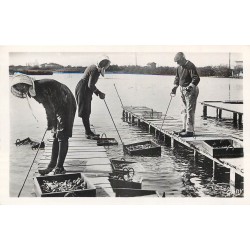 33 ARCACHON. Photo cpsm petit format. Dans les Parcs à Huîtres 1952