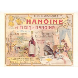 PUBLICITE. Cpm grand format. Elixir Hanoïne à Pouilly-en-Auxois 1993
