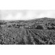 51 EPERNAY. Les Vignes et Vignobles 1963