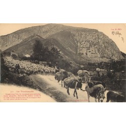 05 LES ALPES. Les Transhumants avec troupeau de Moutons et Mules chargées