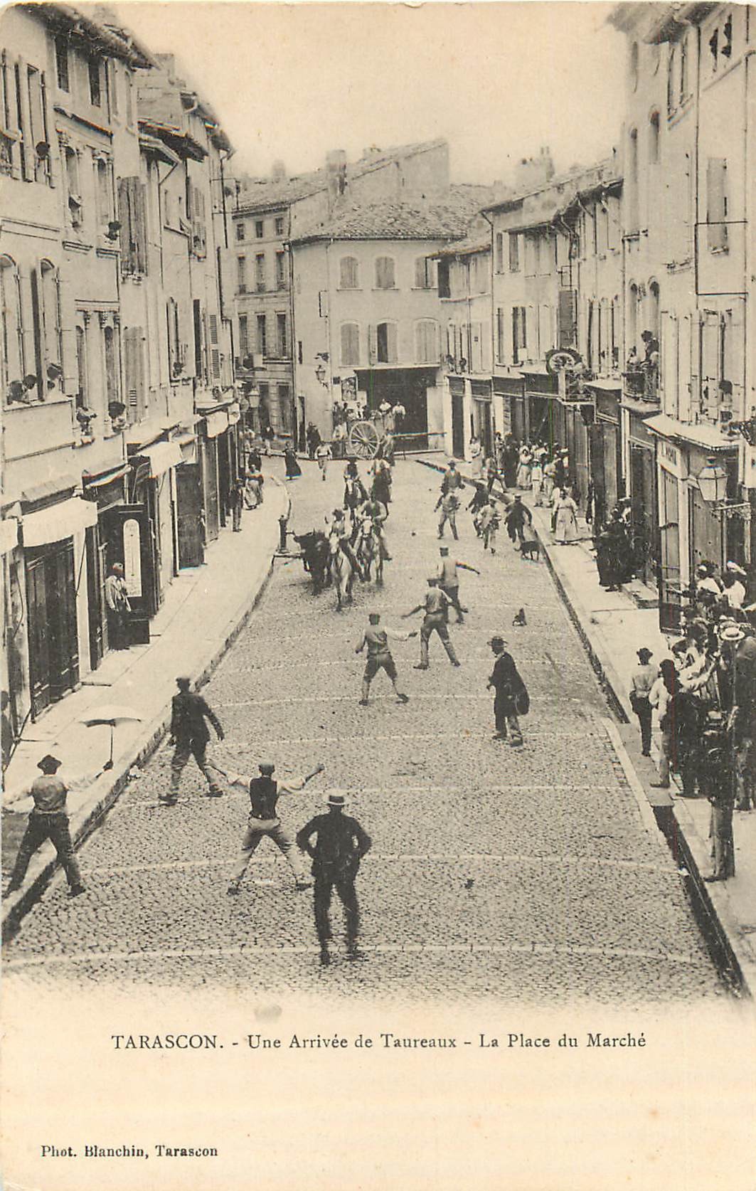 13-tarascon-une-arriv-e-de-taureaux-place-du-march