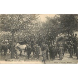 16 ROUILLAC. Champ de Foire aux Chevaux 1907