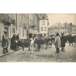 22 DINAN. Au Marché du Bétail maquignons et vaches devant un Café Restaurant