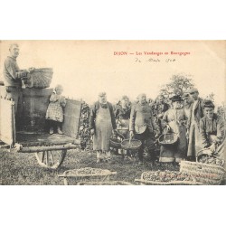 21 DIJON. Les Vendanges en Bourgogne 1906