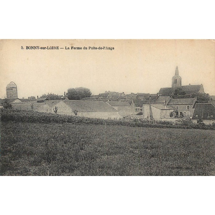 BONNY SUR LOIRE - Les bords de le Cheuille - BATTAGE - très bon état