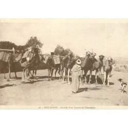 Superbe LOT n°11 de 50 cartes postales anciennes du Monde entier