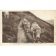 Superbe LOT n°16 de 50 cartes postales anciennes régionalisme dont Châteaux