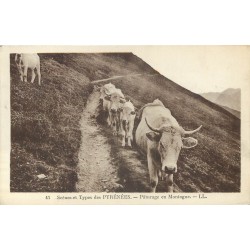 Superbe LOT n°16 de 50 cartes postales anciennes régionalisme dont Châteaux