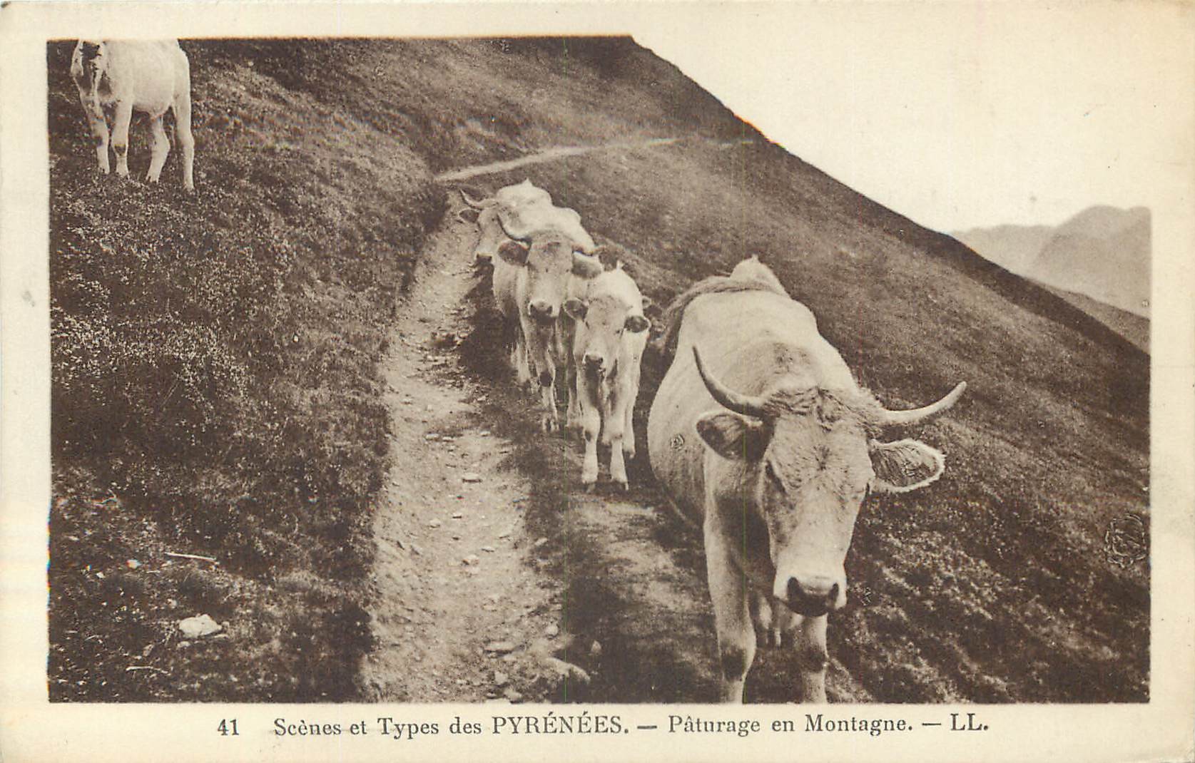 Superbe LOT n°16 de 50 cartes postales anciennes régionalisme dont Châteaux