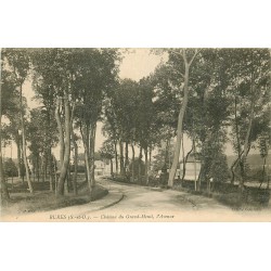 Top promotion 91 BURES-SUR-YVETTE. L'Avenue du Château Grand-Menil