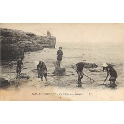 76 LE TREPORT. La Pêche aux Crevettes