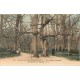 4 cpa 77 FONTAINEBLEAU. Palais et Forêt, Chêne-Charmé, Mare Biches, Chambre Pape et Ermitage Franchard