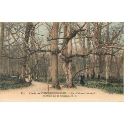 4 cpa 77 FONTAINEBLEAU. Palais et Forêt, Chêne-Charmé, Mare Biches, Chambre Pape et Ermitage Franchard