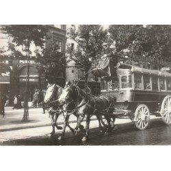 Transport à Paris. Hippomobile "Le Madeleine Bastille" à son départ
