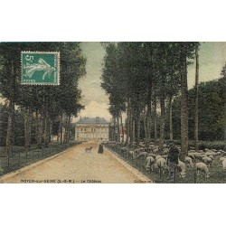 77 NOYEN-SUR-SEINE. Le Château et un troupeau de Moutons