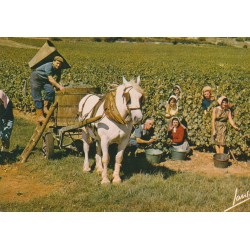 21 Vendanges Maconnaise et Bourguignonne 1978