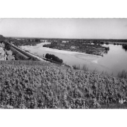58 POUILLY SUR LOIRE. Le Vignoble vins raisins vignes 1964
