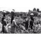 PORTUGAL. Le sulfatage des Vignes et Porteuses d'eau