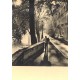 6 Cpa PARIS par Albert Monier. Ponts, Flèche Notre-Dame, St-Germain-des-Prés, Quai Bourbon, Opéra et Concorde