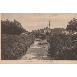 17 CHÂTELAILLON PLAGE. Le Canal des Boucholeurs avec canards