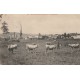 07 ALBOUSSIERE. Vue générale sur les Près avec vaches et paysan 1906