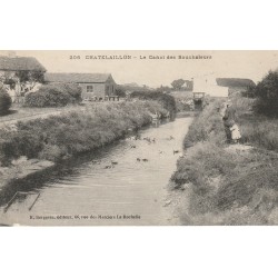 17 CHÂTELAILLON PLAGE. Le Canal des Boucholeurs avec canards