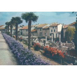3 Photos cpsm grand format 84 VAISON-LA-ROMAINE. Quartier des Pyumin et Cloître