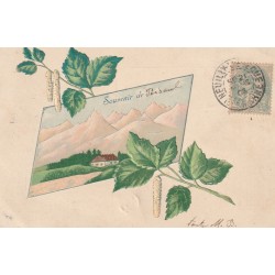 52 POISEUL. Souvenir en carte fantaisie 1906