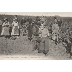 33 LE MEDOC Vendanges. Distraction de Vendangeurs dans les Vignes
