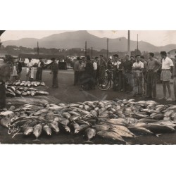 64 SAINT-JEAN-DE-LUZ. Vente du Poisson à la Criée sur le Port 1953