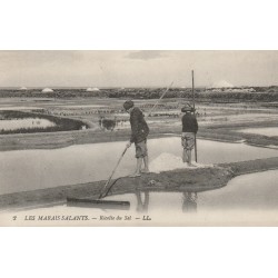 44 Guérande LES MARAIS SALANTS. Récolte du sel 1910