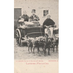 Laitières Flamandes avec attelages de chiens. A l'Aiglon 110 rue du Marché aux Herbes Bruxelles vers 1900