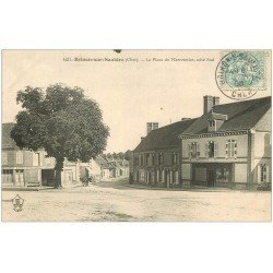 carte postale ancienne 18 BRINON-SUR-SAULDRE. La Place du Marronnier 1906. Café Hôtel l'Ecu et Dauphin