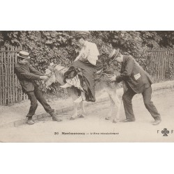 95 MONTMORENCY. L'Ane récalcitrant