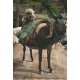 05 LES ALPES. Une Mule portant une Brebis et les transhumants de Moutons