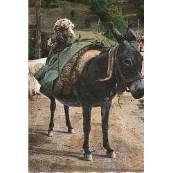 05 LES ALPES. Une Mule portant une Brebis et les transhumants de Moutons