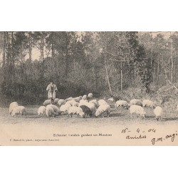 40 ARJUZANX. Echassier Landais gardant ses Moutons 1904