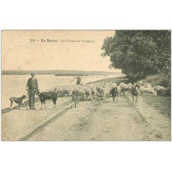 18 LE BERRY. Le départ du troupeau de Chèvres et Moutons 1913