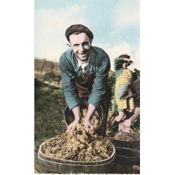 Métiers AGRICULTURE. Vendanges le Faiseur de Bennes. Une bonne farce. Vignes, raisins, vignerons, cépages, vins 1975