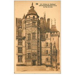 carte postale ancienne 18 MEILLAN le Château et Tour du Lion . Sépia
