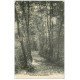 carte postale ancienne 18 SAINT-AMAND-MONTROND. Sous-bois à Mont-Rond 1913