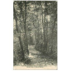 carte postale ancienne 18 SAINT-AMAND-MONTROND. Sous-bois à Mont-Rond 1913