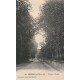 LOT 5 Cpa 44 PORNICHET. Villas Plage, Grand Hôtel Océan, Avenue Yolande, Bois Amour