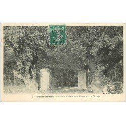 carte postale ancienne 18 SAINT-BOUIZE. Les deux Chênes du Château de la Grange 1908