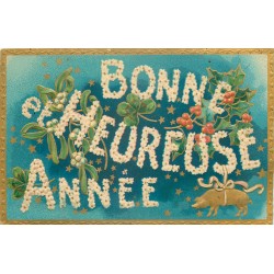 SUPERBE lot n°12 de 100 cpa : France Régionalisme, Fantaisies et étrangères de 1900 à 1940...