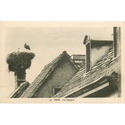 2 Cpa 67 BARR. Les Cigognes et ruine du Château d'Andlau 1923