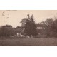 89 VOLGRE. Les Arcys 1933